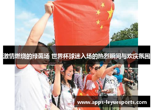 激情燃烧的绿茵场 世界杯球迷入场的热烈瞬间与欢庆氛围