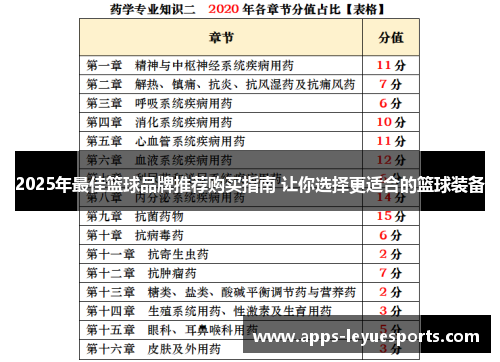 2025年最佳篮球品牌推荐购买指南 让你选择更适合的篮球装备