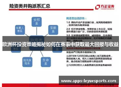 欧洲杯投资策略揭秘如何在赛事中获取最大回报与收益
