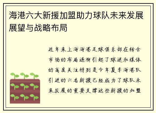 海港六大新援加盟助力球队未来发展展望与战略布局