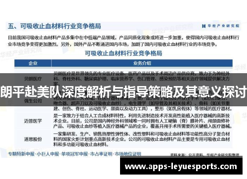 朗平赴美队深度解析与指导策略及其意义探讨