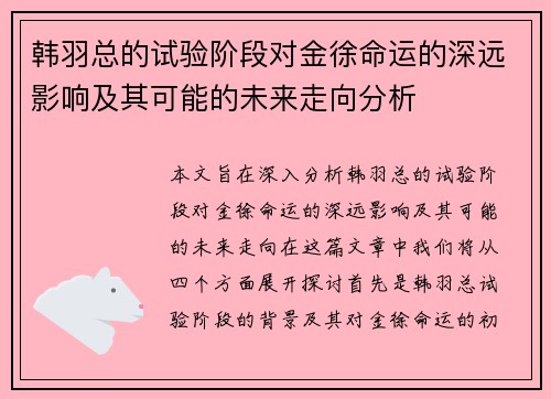 韩羽总的试验阶段对金徐命运的深远影响及其可能的未来走向分析